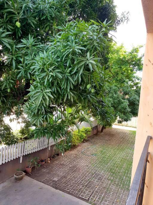 Central Upscale New Kingston Apt With Pool Экстерьер фото